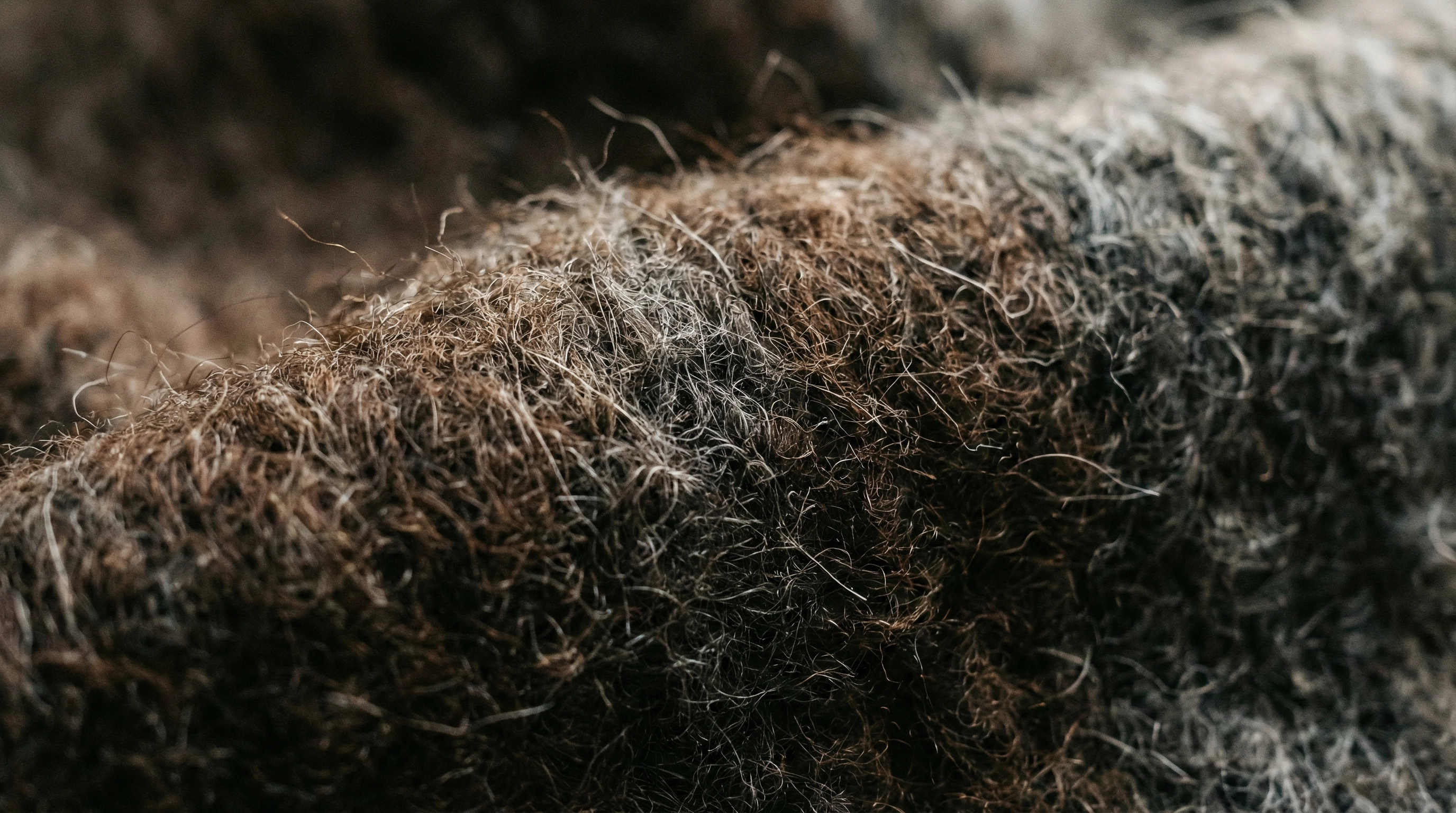 El Auge del Yak Wool en la Moda Sostenible